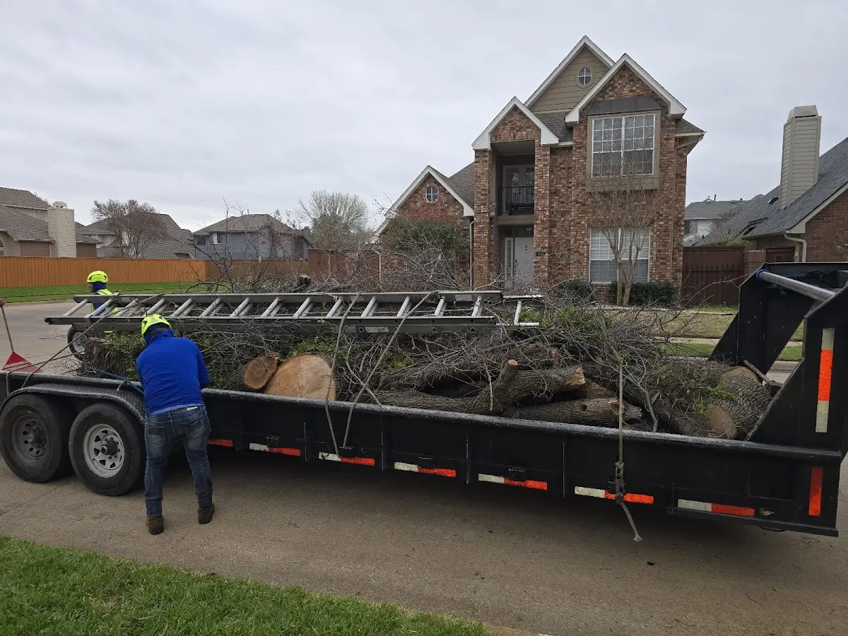Expert Tree Pest Control with proper safety equipment in Bivalve